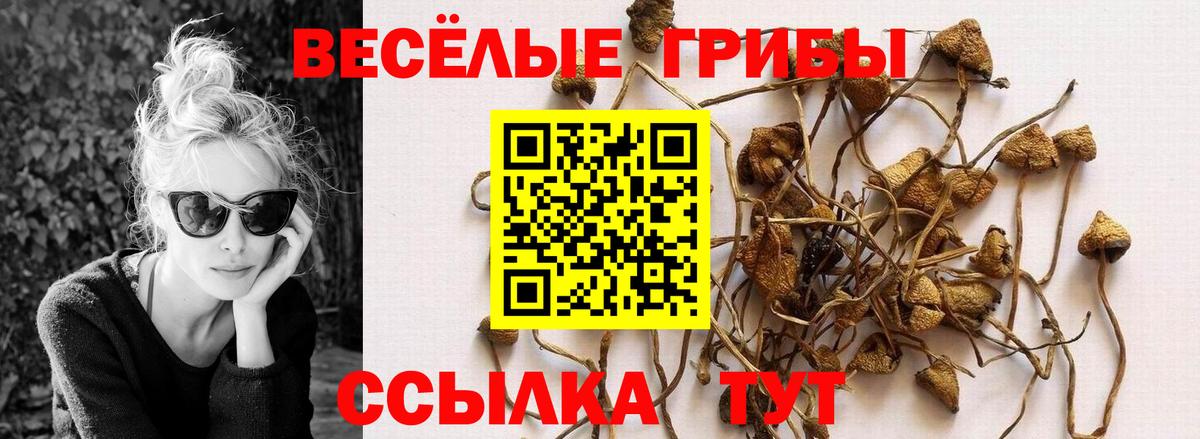 Псилоцибиновые грибы мицелий  Псилоцибиновые грибы Magic Shrooms  Вход с VPN  Сергиев Посад 